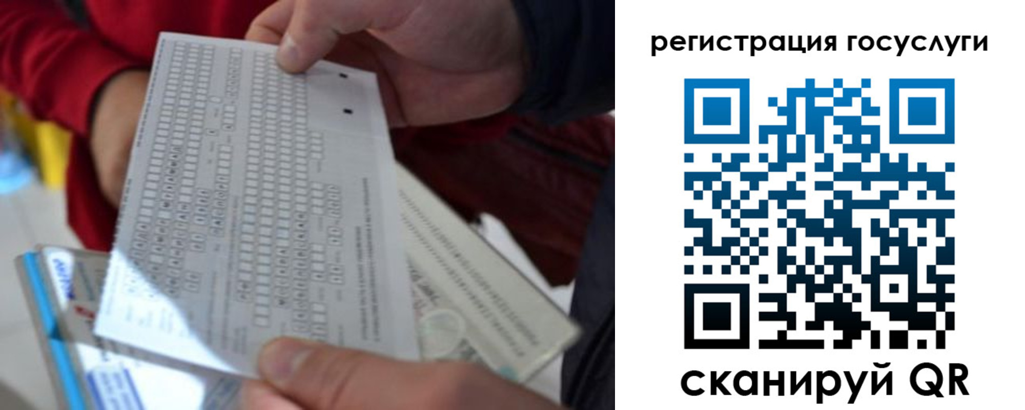 прописка гарантия в Электрогорске